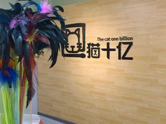 -猫十亿·布偶金渐层·曼基康矮脚猫舍(青年路店)