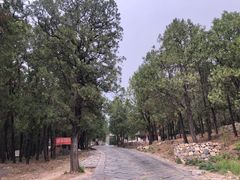 -泰山风景名胜区-普照寺