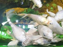 -太平洋海底世界