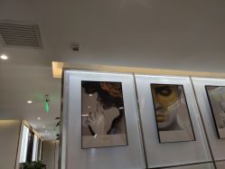 -崇尚GAVIN STYLE臻选