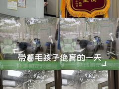 -瑞鹏宠物医院·骨外科·心肾科·肿瘤科(九亭店)