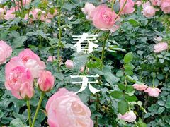 -人民公园(罗湖区)