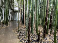 -穹六人间 people 6(岳阳路店)