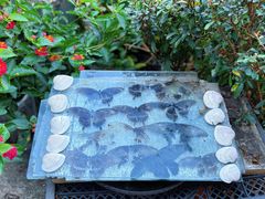 -东钱湖旅游度假区