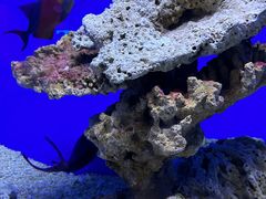 -海合安青岛极地海洋公园
