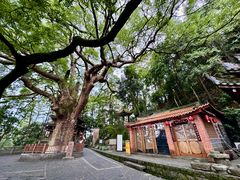 -安溪清水岩