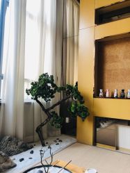 -JNK皮肤管理中心