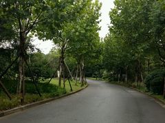 -吴淞炮台湾湿地森林公园烧烤区