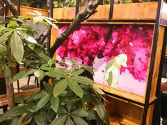 -甲大帅·甲鱼·椰子鸡主题餐厅(唐家店)
