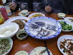 -全乐鱼馆·淳牌有机鱼直营店