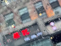 -德记牛肉社潮汕鲜切牛肉火锅(中心路店)