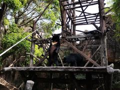 -长鹿旅游休博园