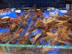 -宴立方海鲜自助(义乌万达广场店)