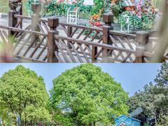 -铁山坪森林公园