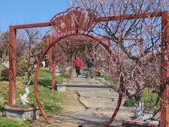 -上海海湾国家森林公园