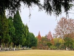-瀛洲公园