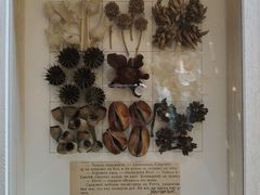 -二酉书店TOYOU BOOKS