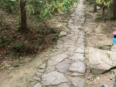 -冶父山国家森林公园