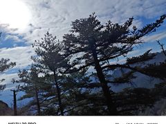 -朱雀国家森林公园