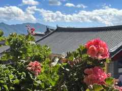 -有一锅·野生菌黑山羊腊排骨火锅(古城北门店)