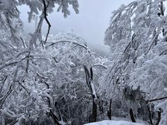 -张家界天门山国家森林公园