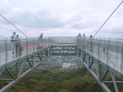 -呀诺达热带雨林