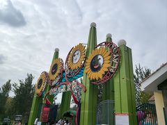 -西部长青自然儿童乐园