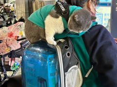 -黑皮酸菜鱼(三山街店)