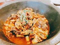生态甲鱼-火焰金龟甲(汉阳江滩旗舰店)