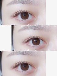 -BELLAREAL新美社