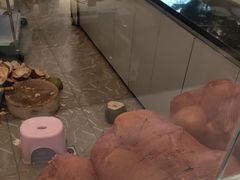 -嗲嗲的椰子鸡・太琼糟粕醋(上海百联又一城店)