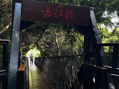 -三亚亚龙湾人间天堂鸟巢度假村