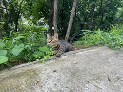 -北京西山国家森林公园