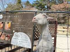 -神户市立六甲山牧场
