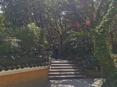 -珞珈山-售票处