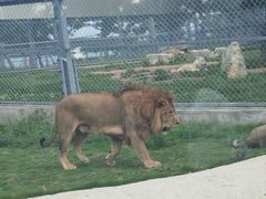 -西霞口神雕山野生动物世界