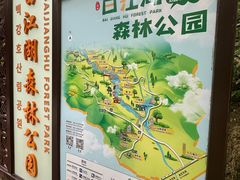 -广州白江湖森林公园