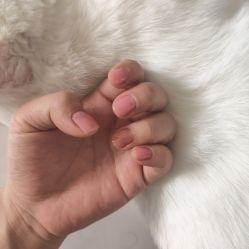 -闺蜜美甲