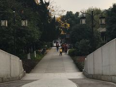 -白马涧龙池景区