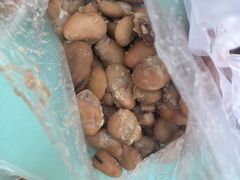 -洪湖里王姐大乌豆