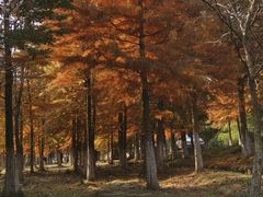 -南京市无想山景区