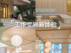 -观心实验室·心理咨询(上海旗舰店)