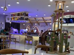 -喵园·猫主题咖啡厅·撸猫·猫咖(国贸店)