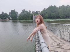 -东湖落雁景区
