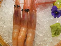 -沼津港精致料理·寿喜烧·烧鸟(龙湖南桥天街日料榜单店)