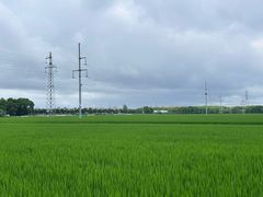 -嘉北郊野公园
