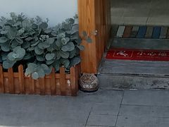 -呷贺盐酥鸡(抄纸巷店)