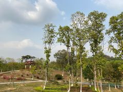 -东莞植物园