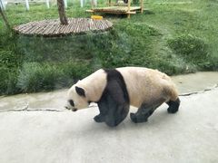 -西安秦岭野生动物园