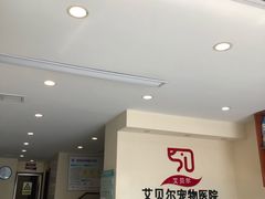 -艾贝尔宠物医院·24H转诊中心·肿瘤猫专科(江宁双龙店)